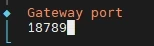 Terminalfenster mit schwarzem Hintergrund; orangefarbener Text Gateway port und darunter die Zahl 18789, links ein blauer Balken.