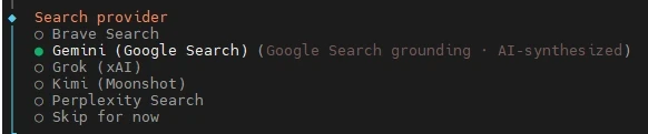 UI-Screenshot des Abschnitts 'Search provider' mit Punkten für Brave Search, Gemini, Grok, Perplexity Search und Skip for now.