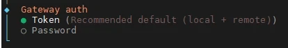Dunkles Terminalfenster mit Menü: Gateway auth; Token (Recommended default (local + remote)); Password.