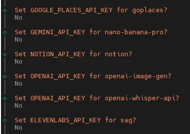 Dunkles Terminal mit Abfragen nach API-Keys Google Places, Gemini, Notion, OpenAI, ElevenLabs und je 'No' darunter.