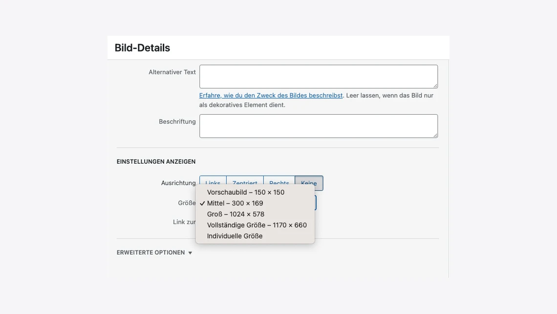 Screenshot eines Bild-Details-Fensters mit Feldern für Alternative Text und Beschreibung; Dropdown für Größe sichtbar.