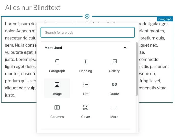 Screenshot eines Textbereichs mit Überschrift 'Alles nur Blindtext' und einer überlagerten Suchleiste 'Search for a block'.