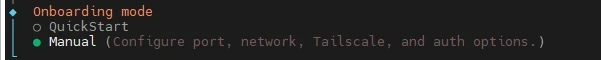Bildschirmfenster mit Menü: Onboarding mode, QuickStart, Manual (Configure port, network, tailscale, and auth options.).
