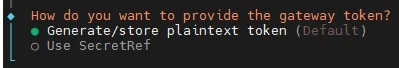 Terminalfenster mit Frage nach Gateway-Token und zwei Optionen: Generate/store plaintext token (Default) und Use SecretRef