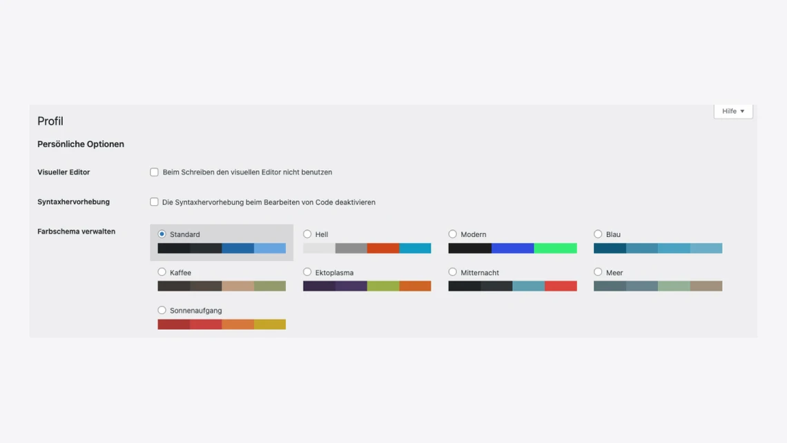 Screenshot eines Profil-Einstellungsfensters mit Optionen für den visuellen Editor und Farbschema-Balken.