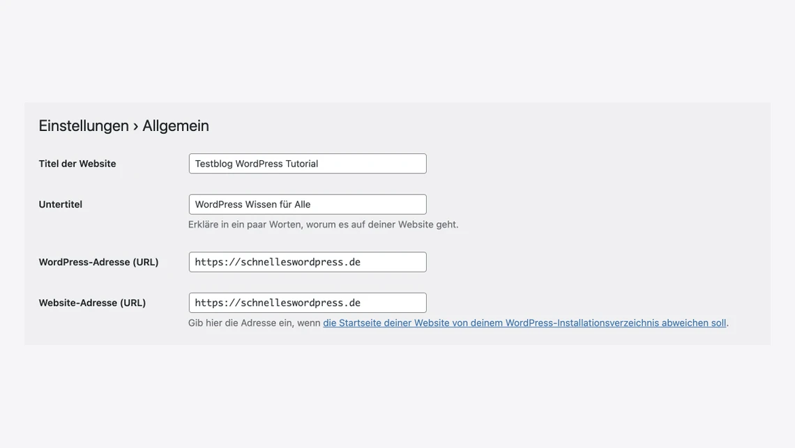 Screenshot der WordPress-Allgemein-Einstellungen: Felder für Titel, Untertitel und URLs mit Beispielwerten.