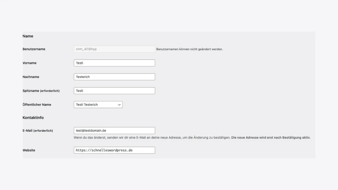 Formular mit Feldern für Name, Benutzername, Vorname, Nachname, Spitzname, Öffentlicher Name, Kontaktinfo, E-Mail und Website.