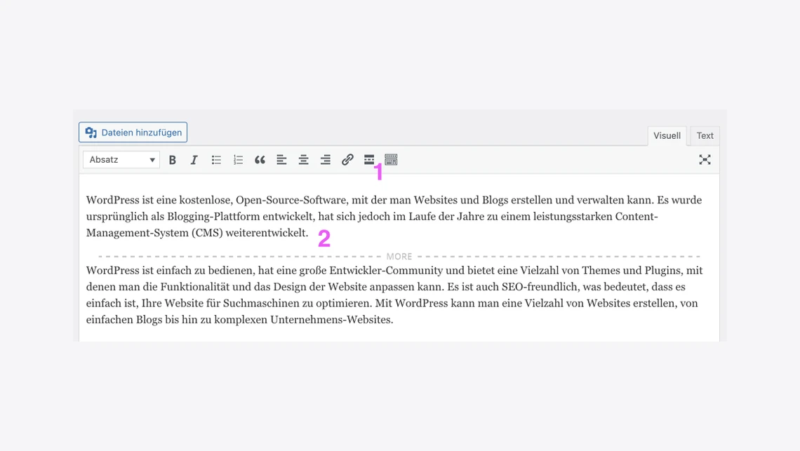 Screenshot eines WordPress-Editors mit Toolbar, Schaltfläche 'Dateien hinzufügen' und Textabschnitt.