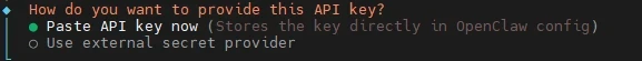 Dunkles Terminalfenster zeigt Abfrage: API-Key per Paste now oder externen Secret Provider; erste Option ausgewählt.