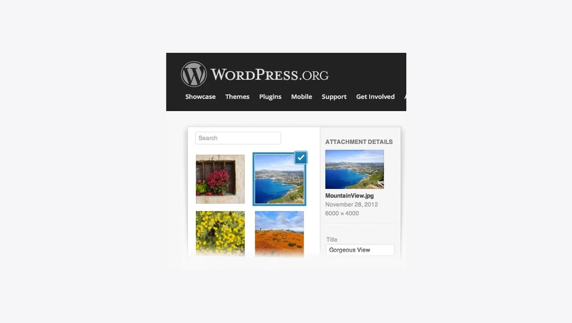 WordPress.org Kopfzeile mit Menü; darunter Galerie aus vier quadratischen Vorschaubildern, rechts Detailfenster.