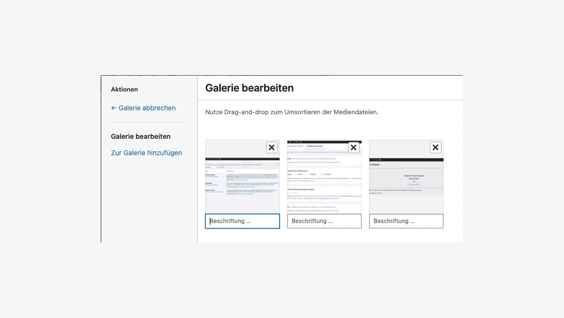 UI-Screenshot: Fenster 'Galerie bearbeiten' mit Seitenleiste 'Aktionen', drei Miniaturfenster.